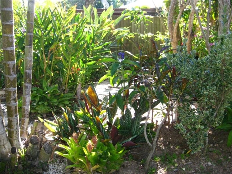 13 Kiah Close, Ocean Shores NSW 2483