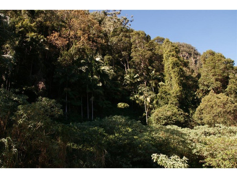 128 Mill Road, Huonbrook NSW 2482