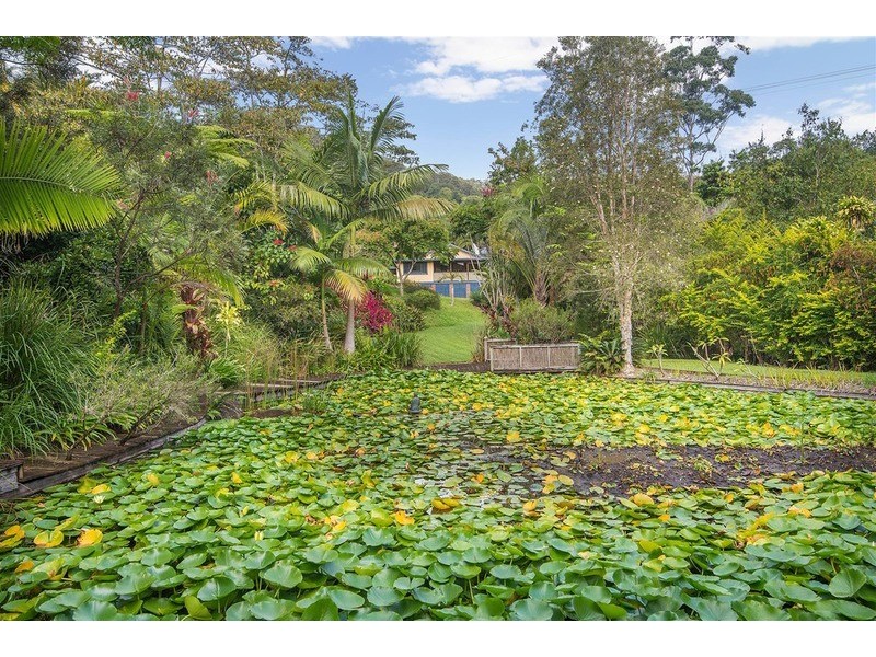 111 Geles Road, Burringbar NSW 2483