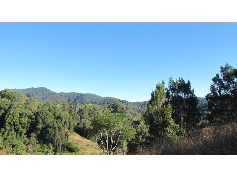 111 Geles Road, Burringbar NSW 2483