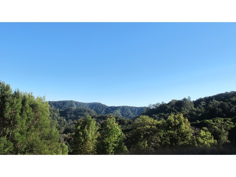 111 Geles Road, Burringbar NSW 2483