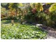 111 Geles Road, Burringbar NSW 2483