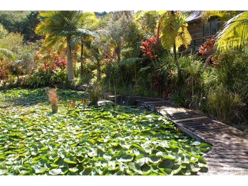 111 Geles Road, Burringbar NSW 2483