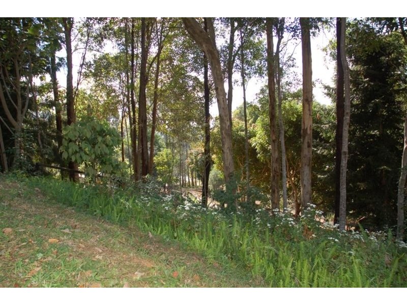 56 Binalong  Court, Burringbar NSW 2483