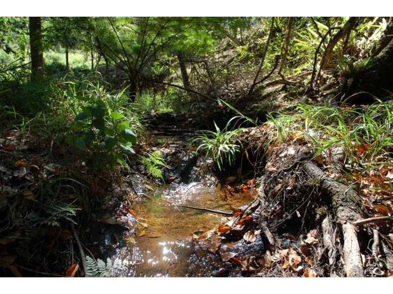 56 Binalong  Court, Burringbar NSW 2483