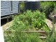 Ocean Shores NSW 2483