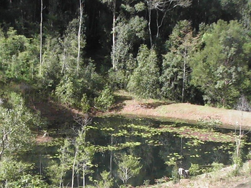 60 Binalong  Court, Burringbar NSW 2483