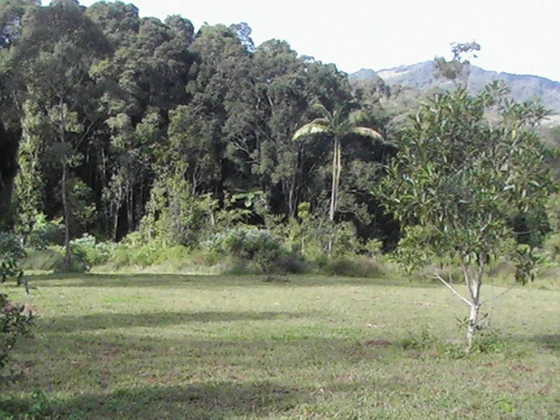 60 Binalong  Court, Burringbar NSW 2483