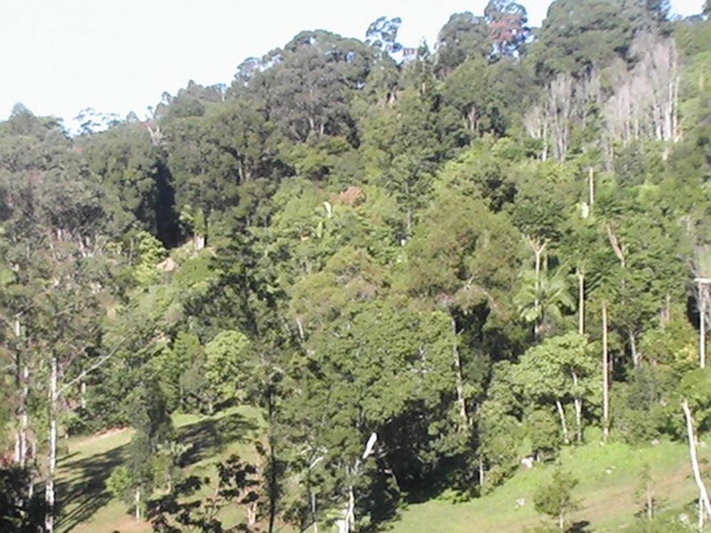 60 Binalong  Court, Burringbar NSW 2483