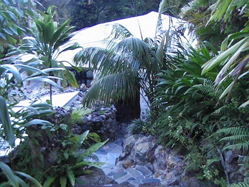 60 Binalong  Court, Burringbar NSW 2483