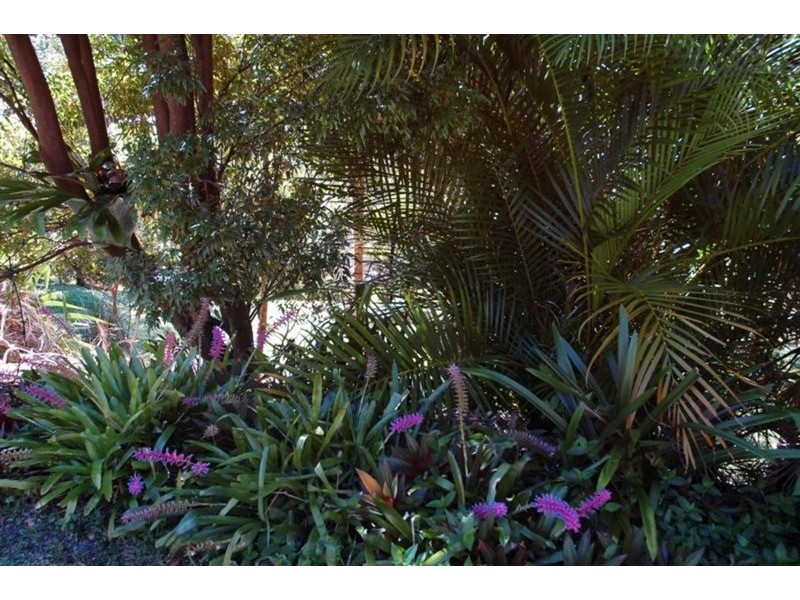 60 Binalong  Court, Burringbar NSW 2483