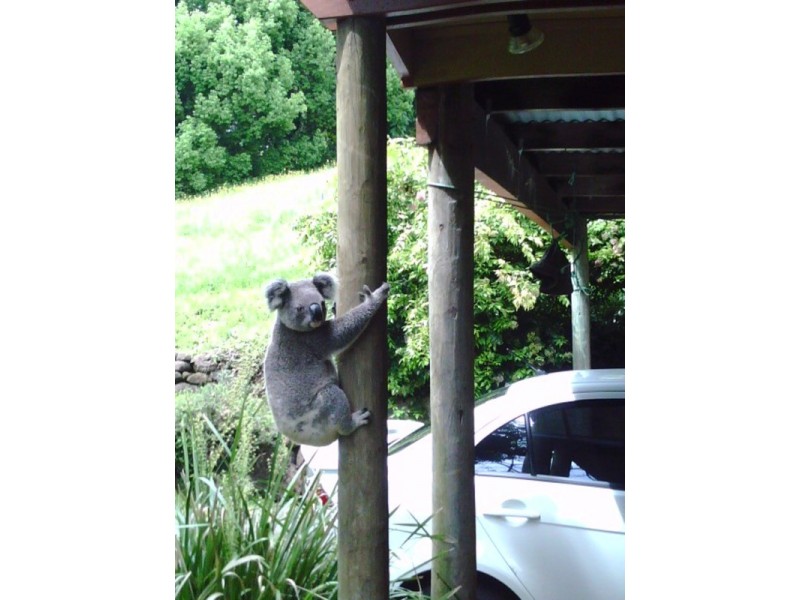 21 Kings  Road, Federal NSW 2480