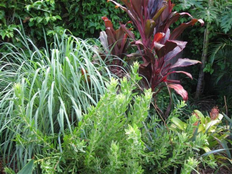 2/7 Gara Court, Ocean Shores NSW 2483