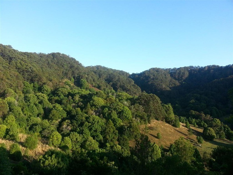 205 Kiely’s Road, Mooball NSW 2483