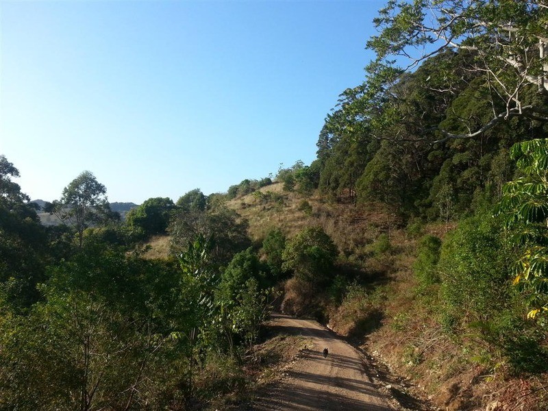 205 Kiely’s Road, Mooball NSW 2483