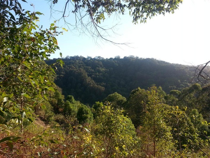 205 Kiely’s Road, Mooball NSW 2483