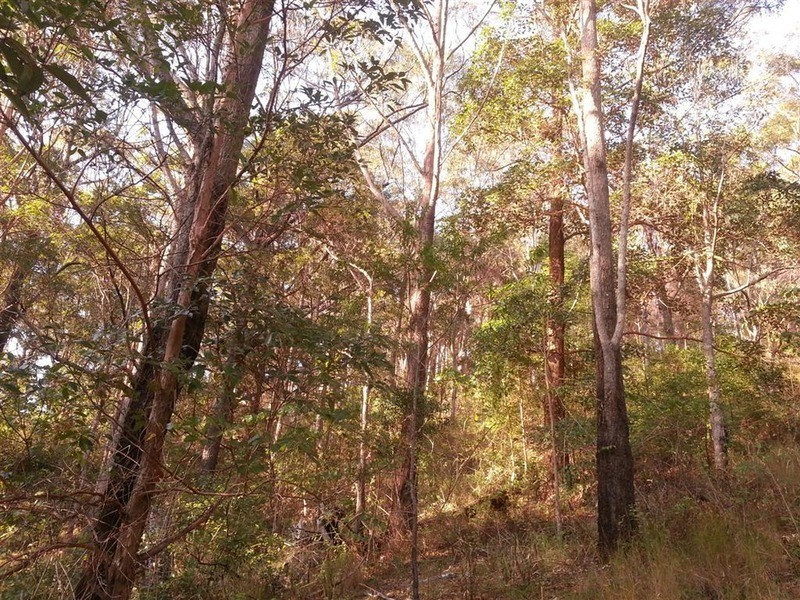 205 Kiely’s Road, Mooball NSW 2483