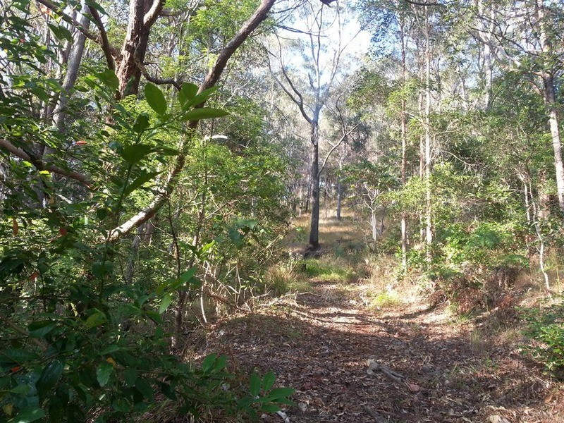 205 Kiely’s Road, Mooball NSW 2483