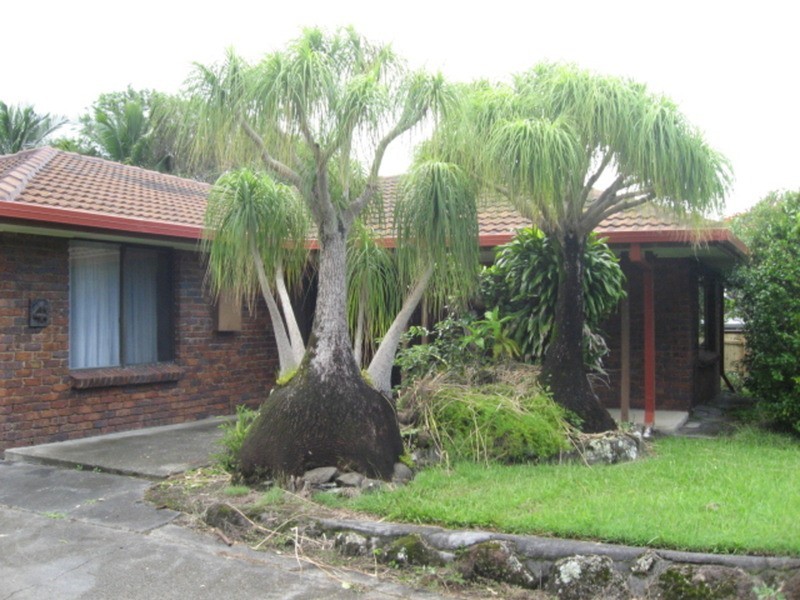 Ocean Shores NSW 2483