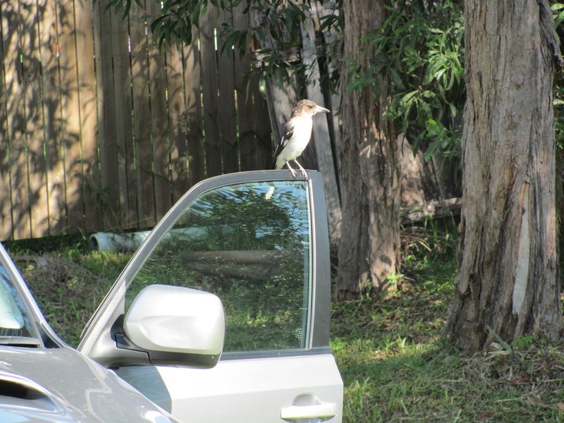 Lot 2/24 Redgate Road, South Golden Beach NSW 2483