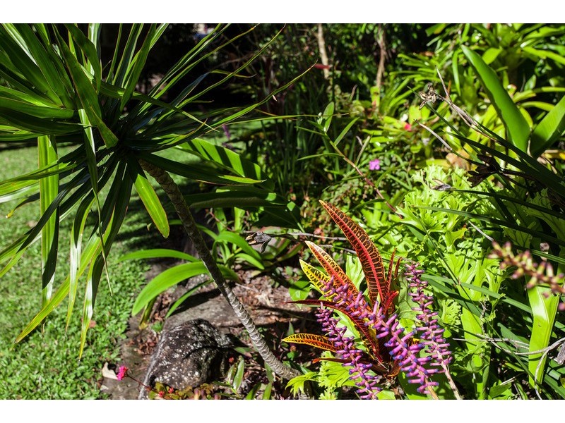 44 Balemo Drive, Ocean Shores NSW 2483