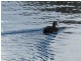 Ocean Shores NSW 2483