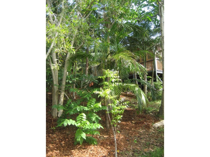 660A Bangalow  Road, Talofa NSW 2481