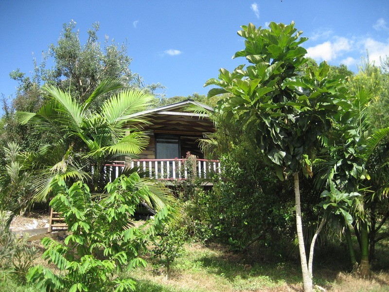 660A Bangalow  Road, Talofa NSW 2481