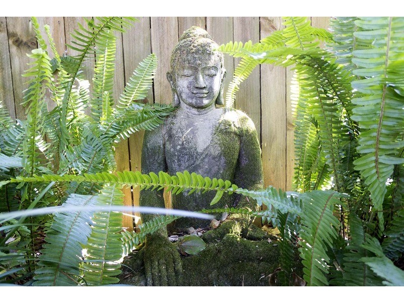 29  Robin Street, South Golden Beach NSW 2483