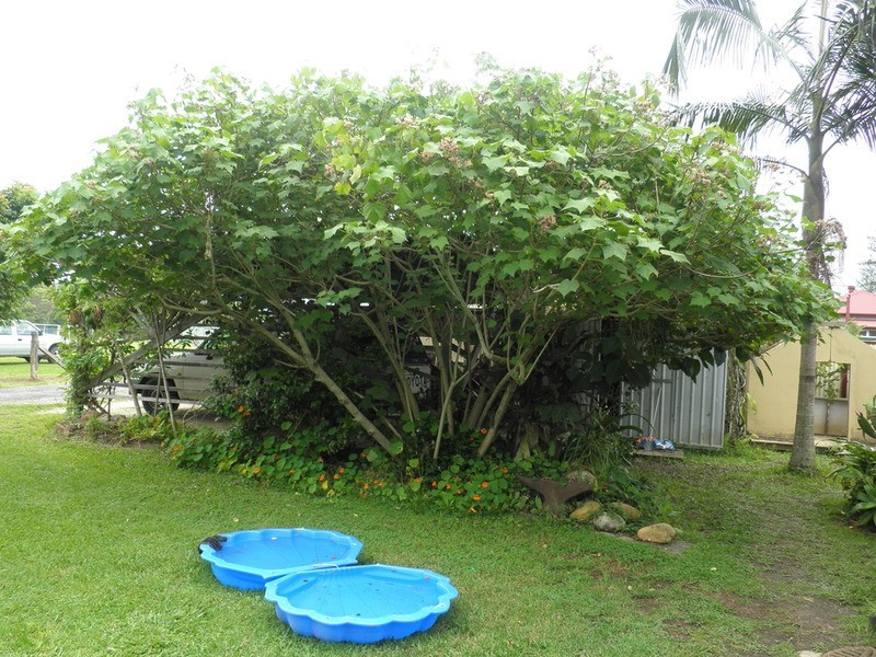 47 Broadway Street, Burringbar NSW 2483