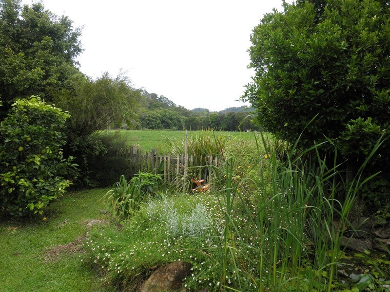 47 Broadway Street, Burringbar NSW 2483