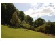 lot6 Pimble Valley Road, Crabbes Creek NSW 2483