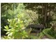 lot6 Pimble Valley Road, Crabbes Creek NSW 2483