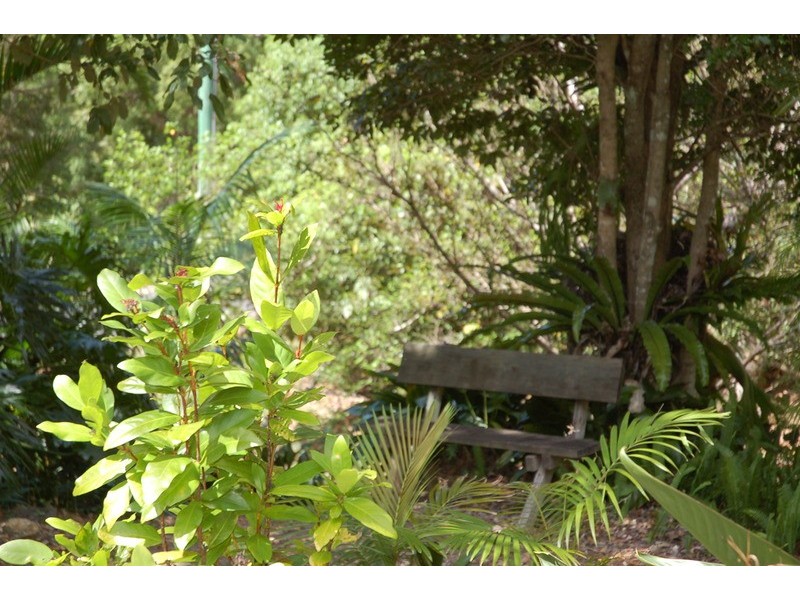 lot6 Pimble Valley Road, Crabbes Creek NSW 2483