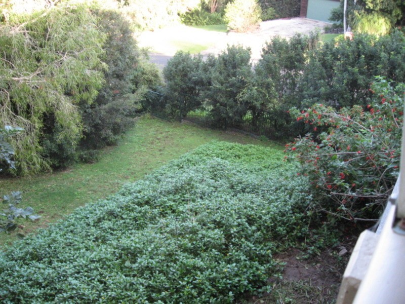 Ocean Shores NSW 2483