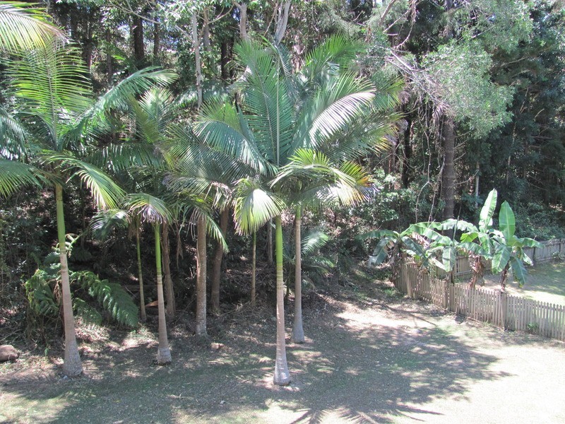 17 rajah  Road, Ocean Shores NSW 2483