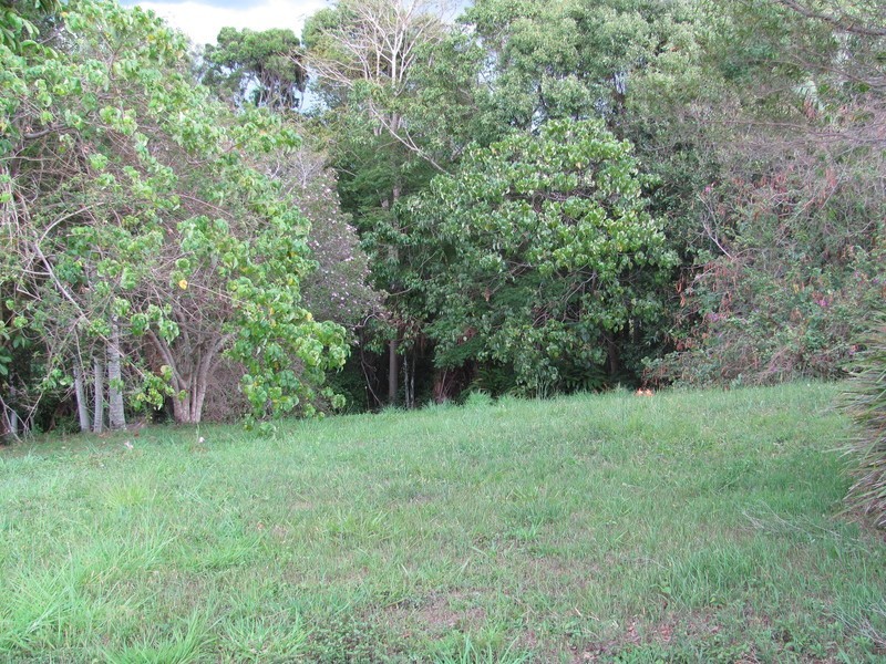 8 Yackatoon Court, Ocean Shores NSW 2483