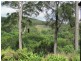 91 Pimble Valley Road, Crabbes Creek NSW 2483