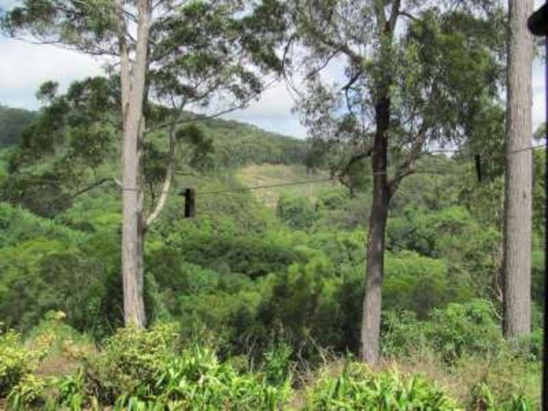 91 Pimble Valley Road, Crabbes Creek NSW 2483