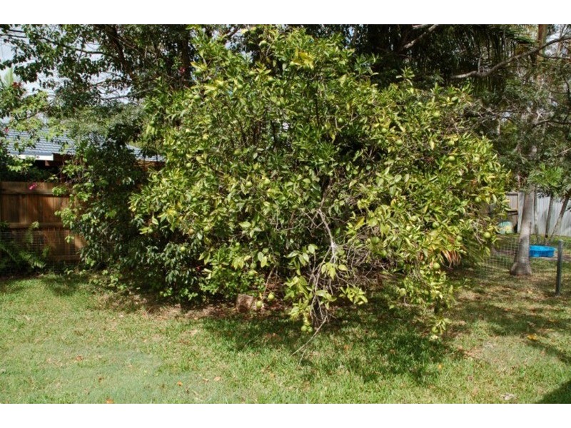 5 kiah Close, Ocean Shores NSW 2483