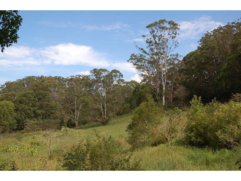 2161 Coolamon Scenic  Drive, Mullumbimby NSW 2482