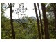 2161 Coolamon Scenic  Drive, Mullumbimby NSW 2482