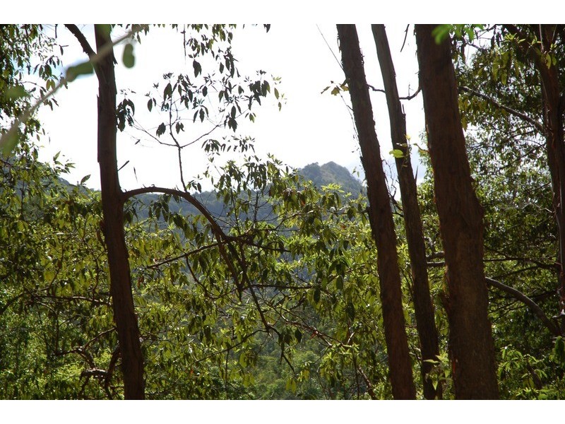 2161 Coolamon Scenic  Drive, Mullumbimby NSW 2482