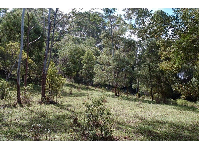 2161 Coolamon Scenic  Drive, Mullumbimby NSW 2482