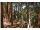 2161 Coolamon Scenic  Drive, Mullumbimby NSW 2482