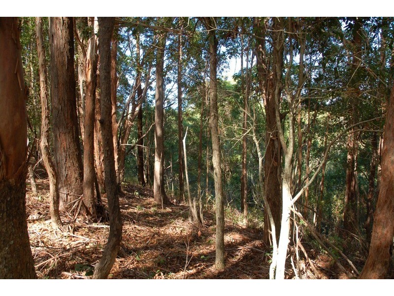 2161 Coolamon Scenic  Drive, Mullumbimby NSW 2482