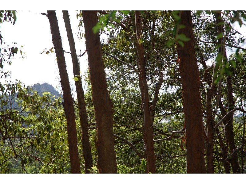 2161 Coolamon Scenic  Drive, Mullumbimby NSW 2482