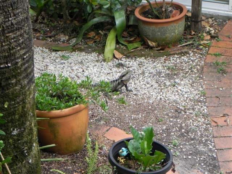 Brunswick Heads NSW 2483