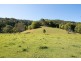 594 The Pocket Road, The Pocket NSW 2483