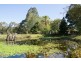 594 The Pocket Road, The Pocket NSW 2483